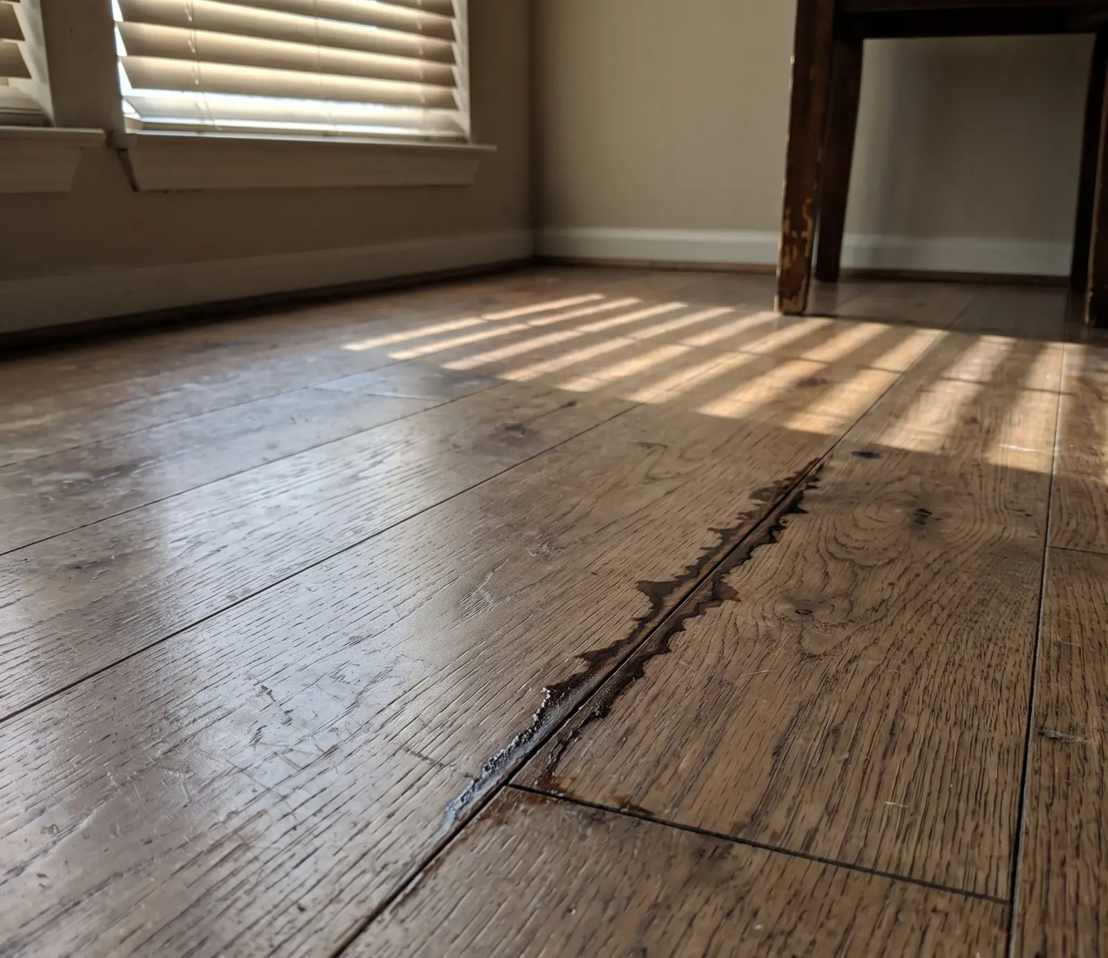 Hardwood Floor Water Extraction service in the United States